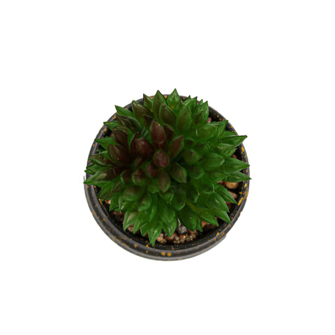 Vas Rotund Cu Planta Suculenta, Verde, Plastic, 9Cm